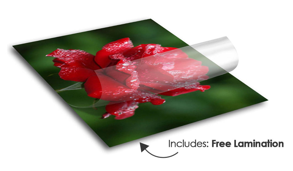 Floor Graphics- $8.49 per sq ft